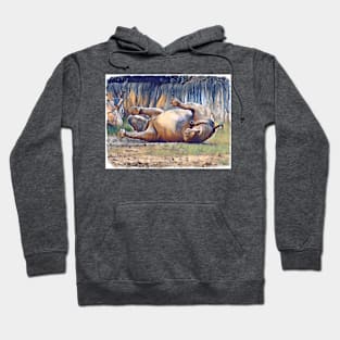 Black Rhino playing in mud Hoodie